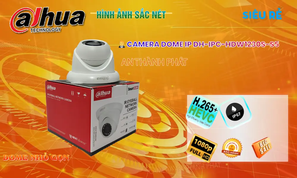 DH-IPC-HDW1230S-S5 Camera IP Giá Rẻ Dahua 1080P