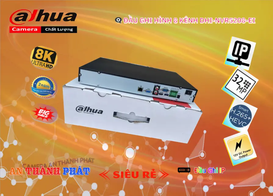 Đầu Ghi IP 8 Kênh Băng Thông 400Mbps  Dahua DHI-NVR5208-EI Giá rẻ