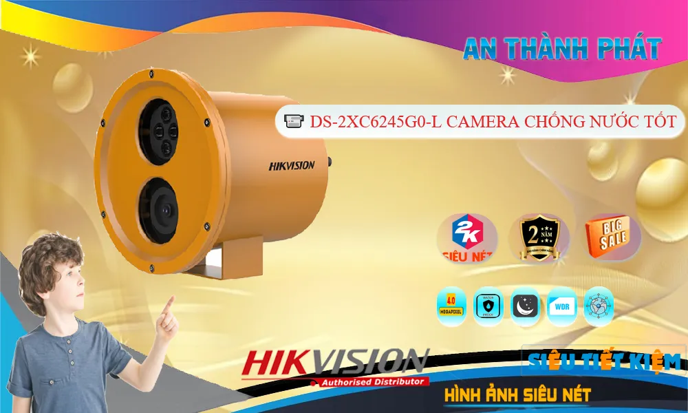 Camera IP Hikvision Dome DS-2XC6245G0-L