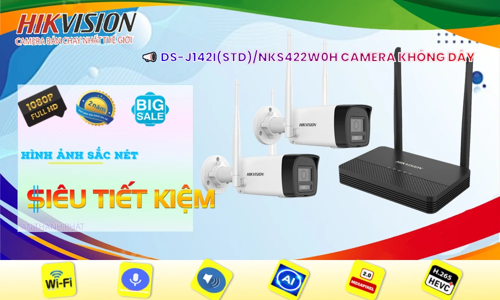 Bộ 2 Camera DS-J142I(STD)/NKS422W0H Chính Hãng Hikvision