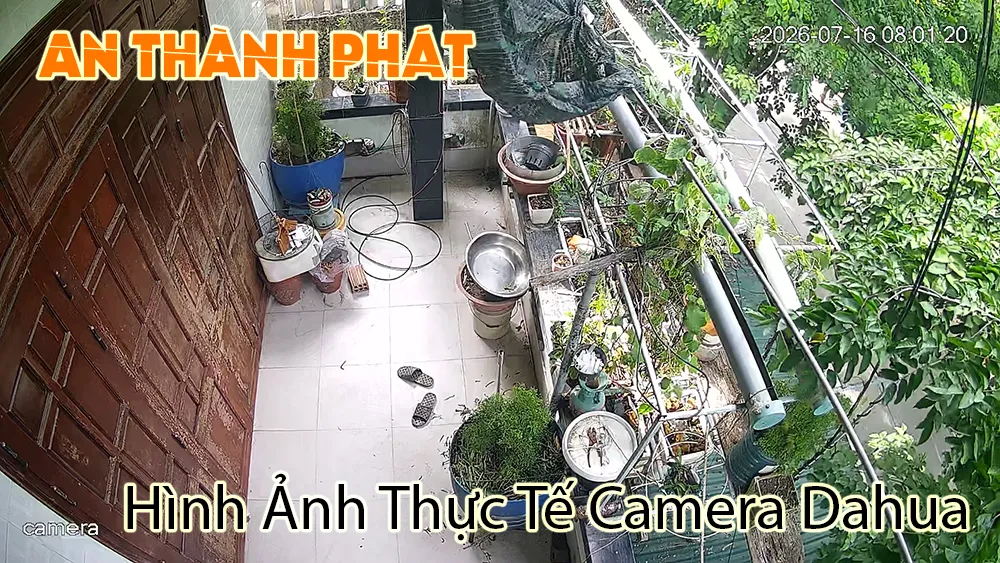 hình ảnh thực tế camera hikvision